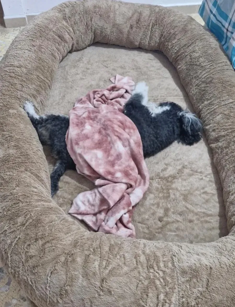 petalive cama afelpada antiestrés humano & mascota